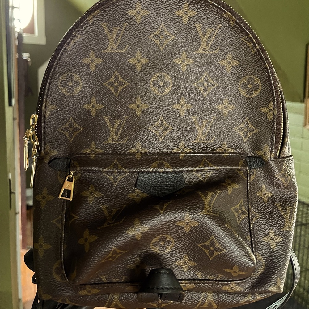 Louis Vuitton Palm Springs MM backpack